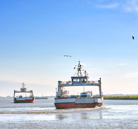 200129_21_08_Elbe_Wischhafen_Faehre_TV_LK_Stade